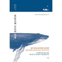 혹등고래 모모의 여행:, 더숲, 류커샹 저/하은지 역