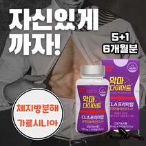 내장지방 피하지방 감소 다이어트 체지방 컷팅 복부 급찐 뱃 살 내장지방 효과좋은 단기간 다이어트 시작할때 사르시니아 살빼는 도움 보조제 흡수억제 팔뚝살 볼살