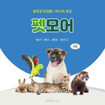 펫모어(냄새잡는 미생물) 항균99.9% 악취제거제 반려동물 탈취제 4정, 2개