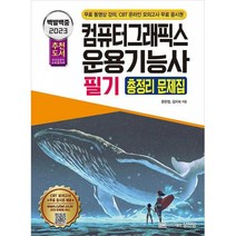 2023 백발백중 컴퓨터그래픽스운용기능사 필기 총정리 문제집 (무료 동영상 강의+CBT 모의고사 무료 응시권)