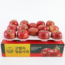청송사과 정품 사과 5kg (크기별 선택) 부사 사과 고랭지사과, 정품 소과 5kg(19-22과)