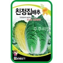 친정집배추 1000립 2000립/ 김장배추 배추씨앗 배추씨, 2000립
