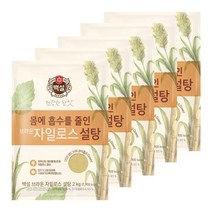씨제이제일제당 백설 브라운 자일로스설탕 2kg x 5개