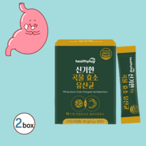 곡물효소 프로바이오틱스 유산균 발효곡류효소 소화효소 탄수화물 분해효소 효소다이어트 프락토올리고당 곡물효소분말 효소 크린베리효소핏 곡물효소유산균 곡물효소효능 다이어트효소 발효효소, 2박스