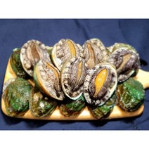 완도 활 전복 특대/꼬마 1kg 당일발송 대유수산, 특대전복 9-10미 1kg