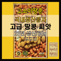 고품종 땅콩 씨앗 30g- 국내생산종자/23년생산/소독필, 1개