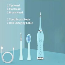 음파진동칫솔 7 1 소닉 전기 치과 미적분 스케일러 USB 충전기 휴대용 타르 리무버 치아 화이트닝 스톤 얼룩 클리너, green with 3 heads
