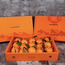 [명절 선물세트] 프리미엄 제주 한라봉 특대과, 한라봉 가정용 중대과(특) 사이즈, 3kg (9과~12과)