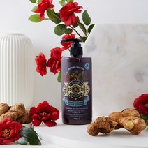 데콤포 청담모 진저그로우 탈모증상완화 샴푸 400ml