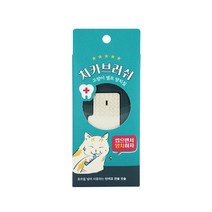 치카브러쉬 고양이 손쉬운 양치 구강관리 츄잉 브러쉬 (츄잉브러쉬 단품), 단품