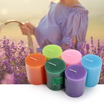 향초 1+1, 모링가