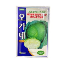 오가네 플러스 양배추씨앗 2000립 [23년포장] 전문가용 양배추