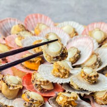 제철 가리비 통영 비단가리비 1kg