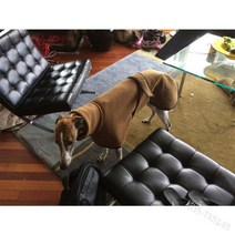 대형견 올인원 아이쥐 옷 이탈리안 그레이하운드옷 따뜻한 가운, 브라운