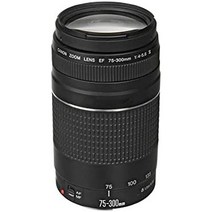 캐논 EF 렌즈 EF75-300mm F4-5.6II 줌 렌즈 텔레포토, Canon EF Lens EF75-300mm