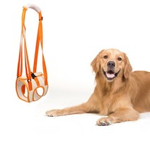 반려동물 재활보조 휠체어 이동 재활용품mesh cloth hind leg care 조정, 31cm