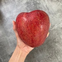 경북 햇 홍로사과 가정용 쥬스용 못난이, 소과 2kg