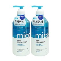 [후후맘] 애경 더마앤모어 미셀라 안티더스트 두피 샴푸 600ml, 2개