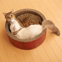가리가리 점보 서클 스크래쳐, 혼합색상, 1개