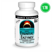 Source Naturals 효소 라파제 아밀라제 락타제