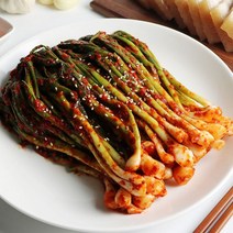 율스키친 함평나비골 국내산 파김치 1kg 2kg