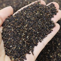 도라지씨앗 도라지종자 도라지씨 재배, 1kg(500gX2), 1개