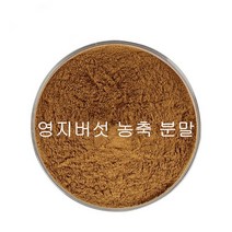 영지버섯 가루 추출물 농축 분말, 10:1, 1개, 500g