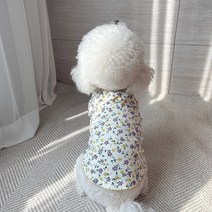 그루밍독 반려동물 그래니 할미 내복 티셔츠, 아이보리