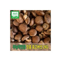 장흥 무농약 생표고버섯 가정용 실속형 버섯 2kg 152126