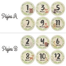 제이즈 6 Pcs 만화 동물 잎 인쇄 성별/달 나무 카드 수제 아기 마일스톤 월간 녹음, [05] Spanish-B