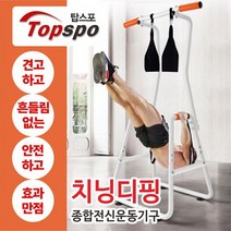 탑스포츠 멀티치닝디핑 딥프레스 평행봉 딥스, 고급형블랙