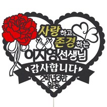비비드레인 어버이날 스승의날 케이크토퍼, 1개, 55-2 스승의날