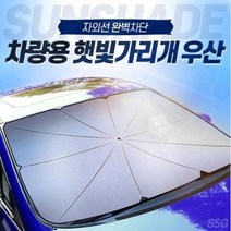 차량용 자석 햇빛가리개 우산 앞유리 자동차 창문 썬브렐라 아기 썬셔터, 단품