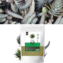 국내산 와송 분말 가루 500g 생 건 줄기 잎 건강 차 음료 레시피 약재료 활용 신탑 탑송 바위솔 국산100% 농장직영관리 풍부한영양소 부모님 어르신 성인 건강식품