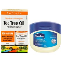 Holista Canada 홀리스타 캐나다 티트리 오일>100% 순수 원액>대용량 100mL-1병(바세린 375g 무료증정/캐나다 직배송), 1병” class=”wr-img”></a></div></p></div></p></div></p></div><div class=