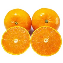 [맛없음반품] 새콤달콤 천혜향 산지직송 선물용 가정용, 가정용포장, 천혜향 소과 3kg(19과 이상)