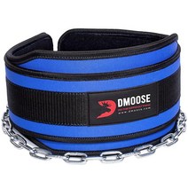 DMoose Fitness 웨이트 리프팅 풀업 파워리프팅 및 보디빌딩 운동을 위한 체인이 있는 딥 벨트 길고 튼튼한 스틸 편안한 네오프렌 허리 지지대 (블랙), Blue