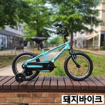 비앙키 XR16 / 16인치 어린이 자전거 / 대진인터내셔널 / 돼지바이크