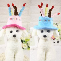 모스트 1+1 강아지 고양이 생일케이크 파티모자, 핑크+블루