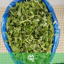 쑥 진도 생쑥 1kg 행복한식탁