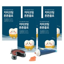 튼튼플로 가정용 불소도포 치아코팅 치아광화촉진제 6회분, 80g, 5개