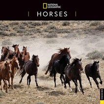 National Geo그래픽 Graphic: Horses 2023 Wall Calendar