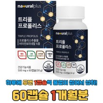 브라질 그린 레드프로폴리스 민트향 프로폴리스사탕, 1개