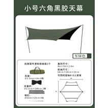 블랙코팅 헥사타프 대형 그늘막 타프, 짙은녹색육각(12㎡4-8명)