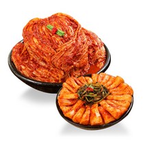 태서식품 태백고원 총각김치, 5kg, 1개