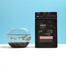 고바시 프리미엄 구피 금붕어 애완 물고기밥 사료 100g 2개, 구피(성어)100g