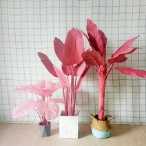 인조 조화 카페조경 화분 핑크식물 바나나나무 칸나, 90cm 핑크 터틀 백