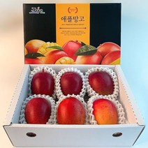 제주농부 산지직송 고당도 제주 애플망고 3kg (5-6입), 단품