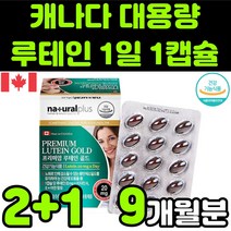 내츄럴 네츄럴 플러스 캐나다 뉴테인 루테린 LUTEIN 마리골드 꽃 빌베리 추출물 비타민 A E 아연 셀레늄 직장인 부모님 60대 눈 안구 건강 노안 노화 흐림 침침 영양제 추천, 3박스(9개월분)