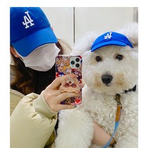 강아지 썬캡 야구 NY 애견 모자 도글라스 LA 산책 패션, 블루S